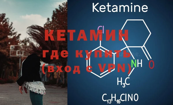 мяу мяу мука Елабуга