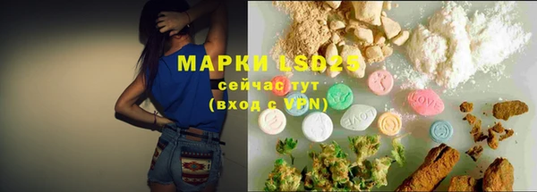 мяу мяу мука Елабуга
