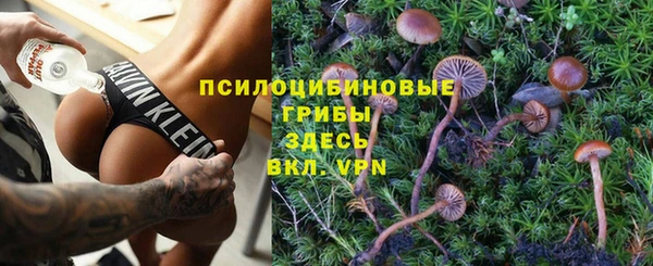 твердый Елизово