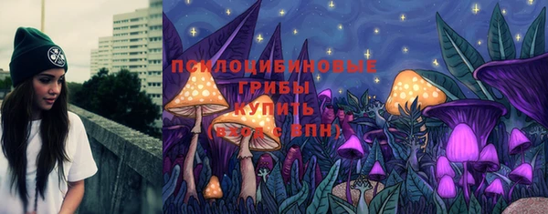 стафф Заводоуковск