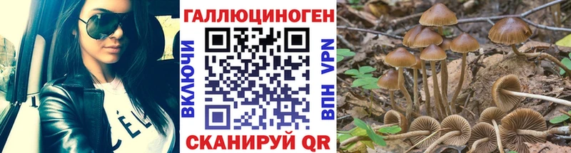 Псилоцибиновые грибы мухоморы  Купить закладки  Гудермес 